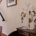 Sant'anna Hotel Venice